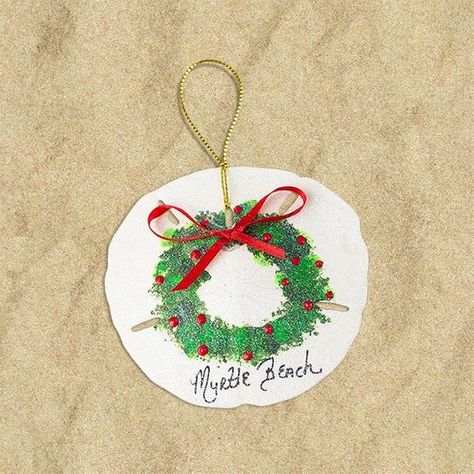 Painting Seashells Ideas Christmas, Christmas Sand Dollar Ornaments, Christmas Sand Dollars, Sanddollar Ornaments Diy, Sand Dollar Christmas Ornaments Diy, Sand Dollar Ornaments Diy, Sand Dollar Christmas Ornaments, Painted Christmas Wreath, Sand Dollar Christmas