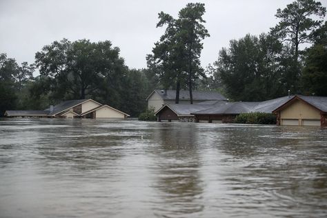 Flooded House, Houston Police, Flood Insurance, Emergency Management, The Weather Channel, Local Government, Natural Disasters, Houston, Government