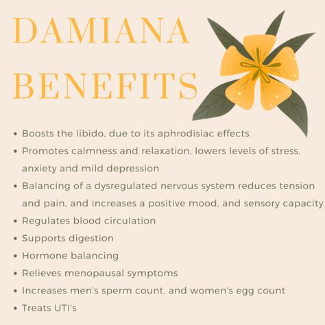 DAMIANA benefits, tips, and support on the body and functions medicinally | powerful herb healing Damiana Benefits, Damiana Tea, Herb Healing, Hormone Balancing Tea, Men Vitamins, Dysregulated Nervous System, Libido Boost For Men, Men Exercise, Prostate Health Men