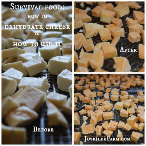 Survival food – how to dehydrate cheese and how to use it Dehydrate Cheese, Dehydrating Food Storage, Food Dehydration, Homemade Trail Mix, Canned Food Storage, Dehydrated Fruit, Long Term Storage, Freeze Drying Food, Dehydrated Food