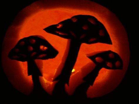 Mushroom Jack o' Lantern | My rendering of the "Aminata Musc… | Flickr Pumpkin Carving Mushroom Ideas, Pumpkin And Mushroom, Pumpkin Carving Ideas Mushroom, Frog Jack O Lantern, Mushroom Jack O Lantern, Pineapple Jack O Lantern, Jack O Lantern Mushroom, Pumpkin Mushroom, 90s Fashion Outfits Hip Hop Party