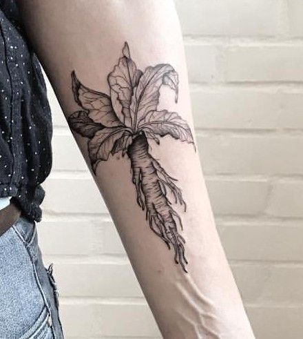 Mandrake Tattoo, Potter Tattoo, Spooky Stickers, Harry Potter Tattoo, Tattoos Ideas, Tattoo Inspo, Body Mods, Leg Tattoos, Leaf Tattoos