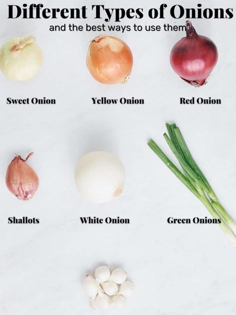 Different Types of Onions and the best way to use them - My Forking Life Onion Benefits, Types Of Onions, Delicious Salad Dressings, Cooking Onions, Vegetable Platter, Relish Recipes, Stir Fry Dishes, Pickled Red Onions, Roasted Meat