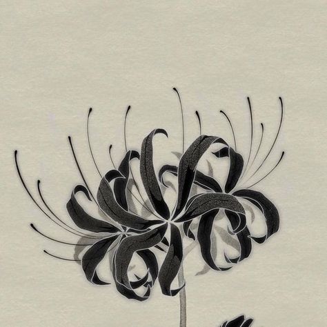 Dragon With Spider Lily Tattoo, Blue Spider Lily Drawing, Spiderlily Drawing Sketches, Spiderlili Tattoo Black, Black Spider Lily Tattoo, Black Lily Tattoo, Spider Lily Tattoo Black, Blue Spider Lily Tattoo, Black Spider Lily