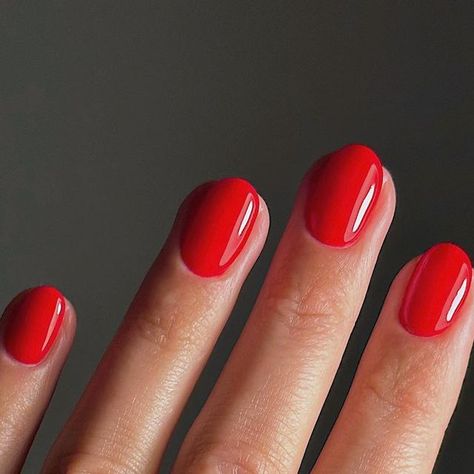 Red Short Oval Acrylic Nails, Oval Short Red Nails, Short Oval Red Nails, Red Round Acrylic Nails, Red Nails Round Shape, Short Rounded Red Nails, Classic Red Short Nails, Oval Short Nails, French Manicure Gel Nails