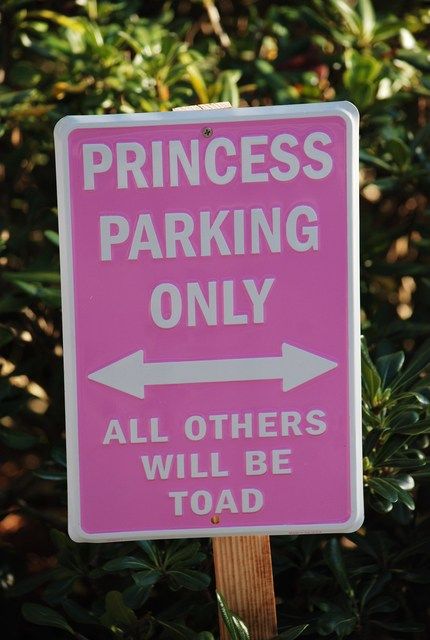 haha... toads. Princess Parking Only, Non Disney Princesses, Princess Parking, Princess Decorations, Im A Princess, Parking Signs, To Infinity And Beyond, Everything Pink, Pink Princess