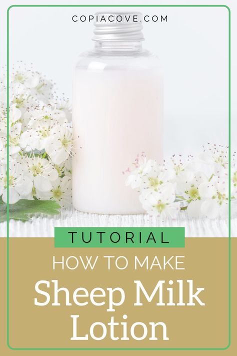 How to Make Sheep Milk Lotion - Copia Cove Icelandic Sheep | Butte Montana USA Body Lotion Recipes, Sheep Milk, Icelandic Sheep, Butte Montana, Milk Lotion, Human Milk, Sheep Crafts, Lotion Recipe, Goats Milk Lotion