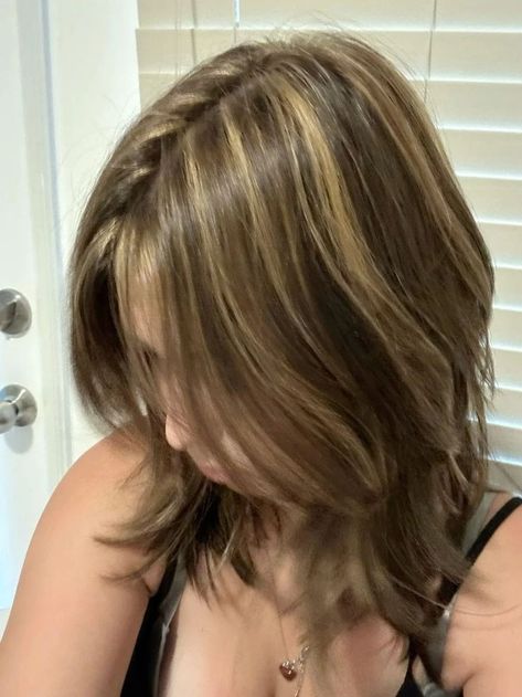 Dark Brown Highlights On Light Brown, Semi Natural Hair Color, Hazel Brown Hair With Highlights, Subtle Chunky Highlights For Brown Hair, Semi Chunky Highlights, Small Chunky Highlights, T Highlights Hair, Chunky Blonde Highlights On Light Brown Hair, Subtle Chunky Highlights