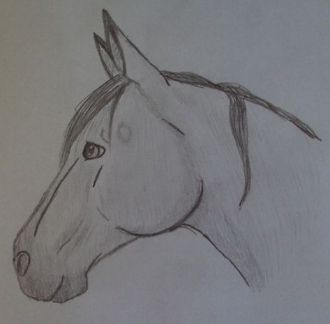 :-) Easy Horse Drawing, Horse Art Drawing, Traditional Drawing, Arte Doodle, Horse Sketch, Animal Drawings Sketches, Horse Coloring Pages, Horse Drawing, Art Tools Drawing