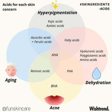 Acid Skincare Ingredients 101: Acid Cheat Sheet in Skincare Antioxidants Skincare, Melanin Skin, Retinoic Acid, Azelaic Acid, Top Skin Care Products, Tranexamic Acid, Skin Care Routine Steps, Skin Routine, Skin Benefits