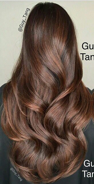 Chestnut Hair, Long Shiny Hair, Cabello Hair, Long Hair Pictures, Brown Hair Balayage, Longer Hair, Hair Color And Cut, Long Wavy Hair, Hair Color Balayage