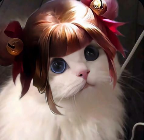 𝑴𝒍𝒃𝒃 𝒄𝒂𝒕 Mlbb Cat Pfp, Mlbb Cat Icon, Legend Cat, Cat Pfp, Cute Mobile Wallpapers, Best Filters For Instagram, Anime Wallpaper Phone, Mobile Legend, Cute Couple Wallpaper