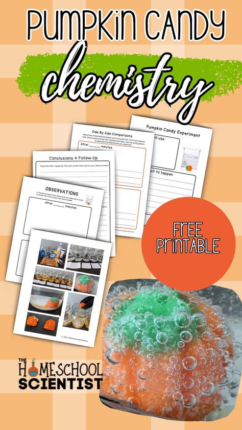 Chemistry activity for elementary grades, can also be used as a chemistry experiment for middle school. Simple candy experiment with lab worksheets so students can test their ideas and record what happened. Chemistry Experiments For Middle School, Halloween Candy Experiments, Candy Corn Experiment For Kids, Middle School Chemistry Experiments, Candy Corn Science Experiment, Candy Pumpkin Science Experiment, College Chemistry, Candy Experiments, Science Demonstrations