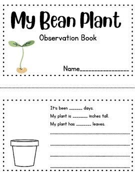 Use this simple observation and recording booklet for your K-2 students as they practice their scientific observation and recording skills. Planting and growing bean seeds are a great way for children to witness changes in their plant since they grow very easily and quickly. My students have even been able to produce flowers and new fruit from their bean seed. It's that easy!Each page contains a space to record:- a diagram of their plant- how many days since the seed has been planted- how many inches tall their plant is- how many leaves their plant has. - written observations to describe their plant in more detail. Check out my "Seed Observation" booklet in my TpT shop as an introduction to seeds and the parts of a seed. https://www.teacherspayteachers.com/Product/Seed-Observation-Booklet- Parts Of A Seed, Growing Beans, Cycle For Kids, Ag Education, Classroom Anchor Charts, Bean Plant, Pantry Closet, Bean Seeds, Plant Science