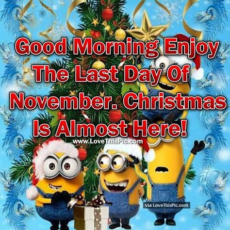 Good Morning Enjoy The Last Day Of November. Christmas Is Almost Here! Last Day Of December Quotes, December Funny Quotes, Hello December Quotes, Last Day Of November, November Quotes, December Quotes, November Christmas, Fall Humor, Hello November