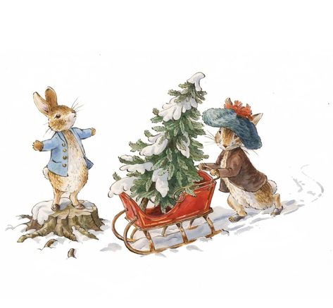 World of Beatrix Potter on Instagram: “Who is dreaming of a snowy Christmas this year? ✋❄” Peter Rabbit Illustration, Beatrix Potter Illustrations, Beatrice Potter, Peter Rabbit And Friends, Snowy Christmas, Rabbit Illustration, Illustration Noel, Rabbit Art, Christmas Drawing