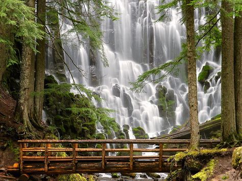 Ramona Falls Oregon Ramona Falls, Oregon Waterfalls, Earth Pictures, Image Nature, Luang Prabang, Fall Hiking, Arizona Usa, Oregon Travel, Beautiful Waterfalls