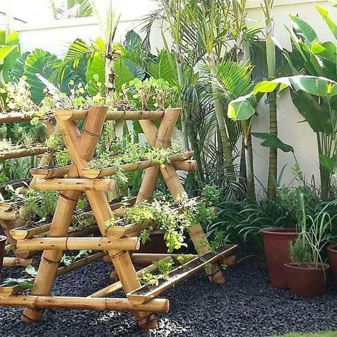 #Bamboo Vegetable stacks at private villa Bali. Organic home gardening By Bali Landscape Company  #BanginBamboo Vegetable Stacks, Bamboo Furniture Outdoor, Bali Landscape, Bamboo Furniture Diy, Private Villa Bali, Bamboo Landscape, Bamboo Diy, Bamboo Building, Taman Air