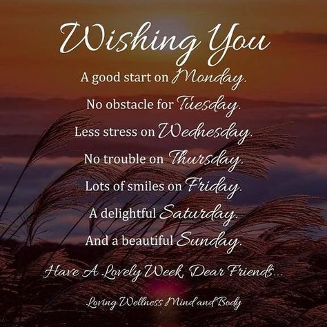 Wishing you a happy and less stressful week.......#muchlove #newweeknewstart #newweekblessings #bestrong Blessed Week, Special Quotes, A Fresh Start, Know Nothing, Fresh Start, New Week, Be Kind To Yourself, To Be Happy, Positive Thoughts