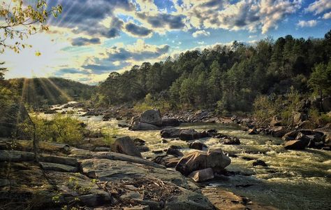 Mark Twain National Forest, Missouri Camping, Rv Destination, Truck Camping, Forest Road, Camping Area, Free Camping, Camping Spots, American Travel