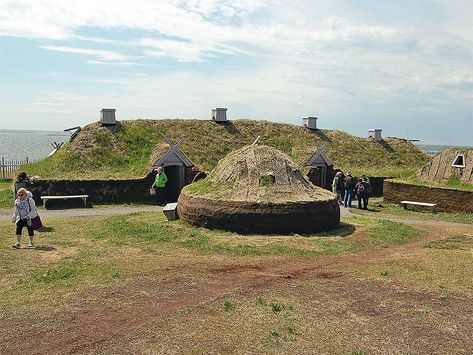 Our Travels: 13 Days in Newfoundland and Labrador L'anse Aux Meadows, Gros Morne National Park, Northwest Territories, Viking History, Newfoundland And Labrador, 13 Days, Earth From Space, Group Tours, Whale Watching