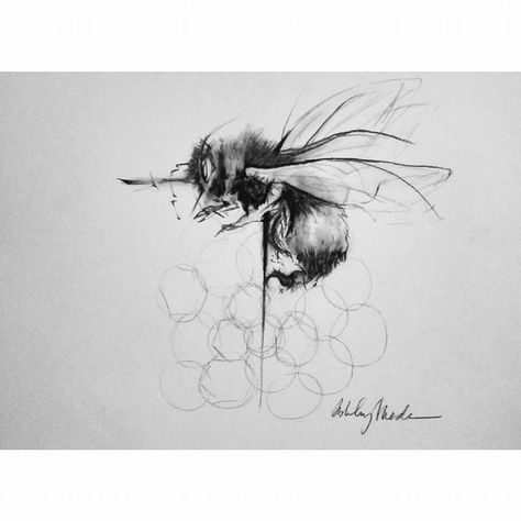 #bee #beedrawing #sketch #charcoaldrawing #awakenmuralsnwa Structures Art, Bee Sketch, Bee Drawing, Bee Swarm, Taurus Tattoos, Rock Chick, Bee Tattoo, Charcoal Art, Pencil And Paper