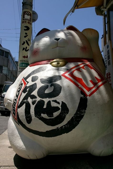 Lucky Cat Aesthetic, Cat Standing, Beckoning Cat, Money Cat, Japanese Bobtail, Fortune Cat, Turning Japanese, Japanese Cat, Cat Statue