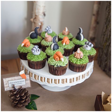 Woodland Birthday Party | Moments on the Blog Woodland Birthday Cupcakes, Woodland Birthday Food, Woodland Cupcakes Baby, Woodland Creature Cupcakes, Woodland Cupcakes Forest Themes, Woodland Cake Birthday, Woodland Baby Shower Cupcakes, Woodland Theme Cupcakes, Woodland Cake Pops