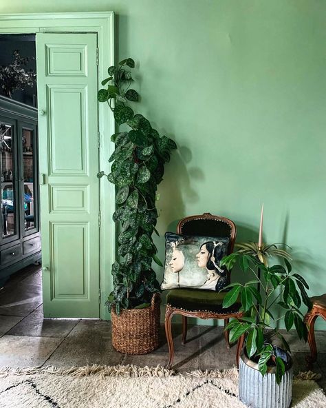 Lou on Instagram: “Lockdown finished in France yesterday. To celebrate I visited our apartment to give it an air and a clean. It was also a bit of a mercy…” Bright Green Paint Colors, Bright Green Paint, Colourful Homes, Mad About The House, Monday Inspiration, Guest Room Office, Green Paint Colors, Living Room Green, Green Rooms