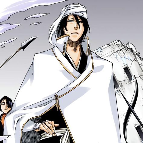 Byakuya Kuchiki, Anime Character, Bleach, Anime, Black