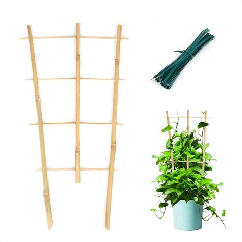 Cambaverd 3 Pack Min Bamboo Trellis 16 in Fan -Shaped Plant Support Trellis with Twist Ties for Indoor Mini Climbing Plants H Climbing Plant Support Ideas, Ladder Trellis, Houseplant Trellis, Indoor Plant Trellis, Small Trellis, Trellis Indoor, Bamboo Stakes, Plant Trellis, Bamboo Trellis