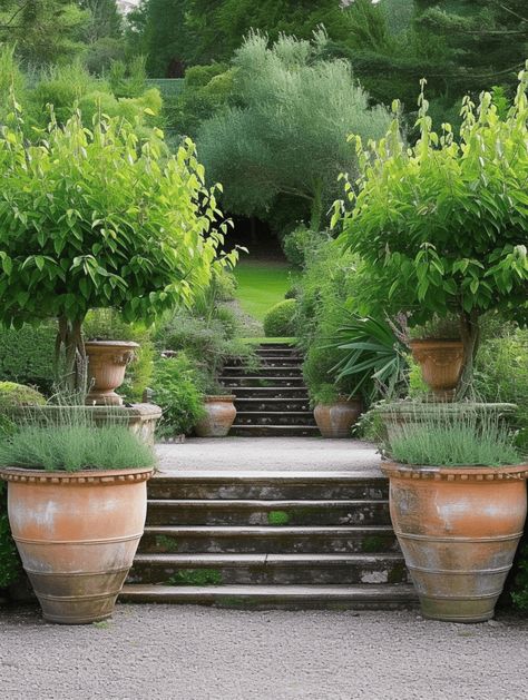 75+ Garden Path Ideas You Have To Check Out Garden Path Ideas, Large Garden Pots, Large Terracotta Pots, Moonlit Garden, Mediterranean Garden Design, Green Backyard, Garden Pathways, Fig Trees, Path Ideas