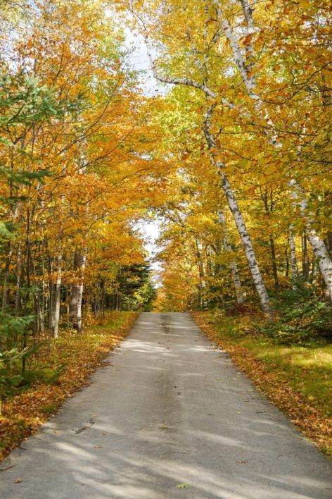 Fall Colors in Door County: A Drive Through Northern Wisconsin - This Darling World Fall Drive, Northern Wisconsin, Door County Wisconsin, Side Road, Midwest Travel, Country Roads Take Me Home, Chicago Travel, In Door, Morocco Travel