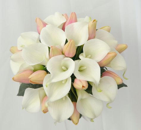 Latex peach tulips and white calla lily bouquet Tulip And Calla Lily Bouquet, Tulips And Lilies Bouquet, Wedding Bouquets Tulips, Flowers Tulips Bouquet, Calla Bouquet, Peach Tulips, Tulip Bridal Bouquet, White Calla Lily Bouquet, White Calla Lilies