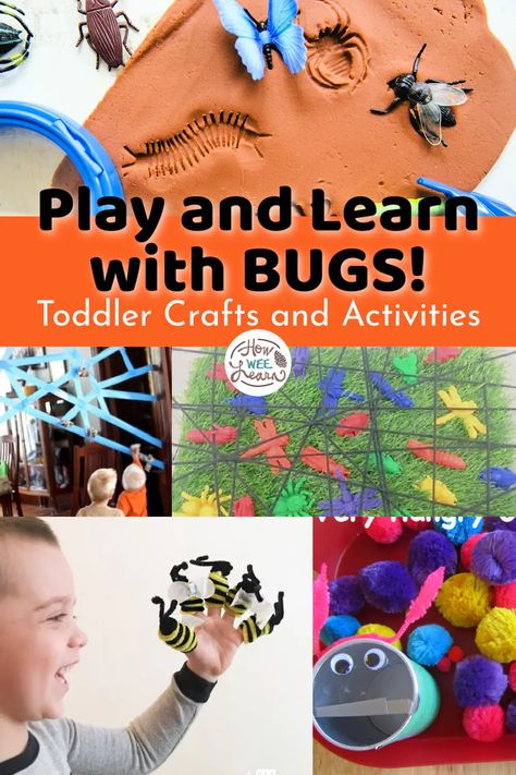 Insect Crafts For Toddlers, Insect Playdough, Insect Activities For Toddlers, Bug Activities For Toddlers, Themed Sensory Bins, Playdough Ideas, Bug Activities, Learning Activities For Kids, Learning Crafts