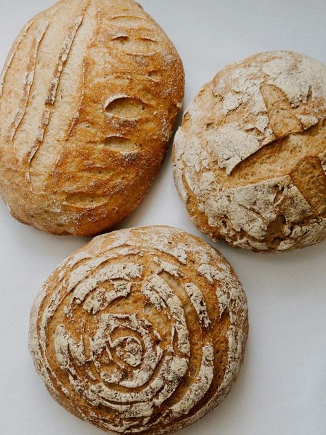 Gluten Free Sourdough Bread Gf Sourdough Recipes, Gluten Free Sourdough Bread Recipe, Gluten Free Sourdough Starter, Gluten Free Sourdough Bread, Grain Brain, Best Gluten Free Bread, Sourdough Loaf, Sourdough Starter Discard Recipe, Gluten Free Sourdough