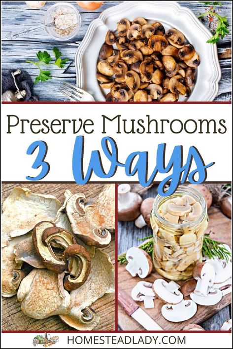 Preserve Mushrooms, Freezing Mushrooms, Homestead Pantry, Pressure Canning Recipes, Fruit Scones, Low Acid Recipes, Canned Mushrooms, Food Resources, Dried Mushrooms