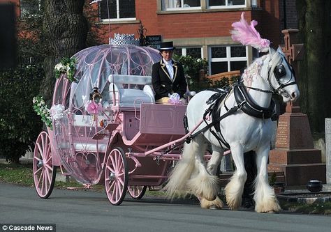 Horse Drawn Carriage, Wedding Carriage, Horse Wedding, Horse And Buggy, Last Ride, Horse Carriage, Pink Car, Horse Drawn, White Horses