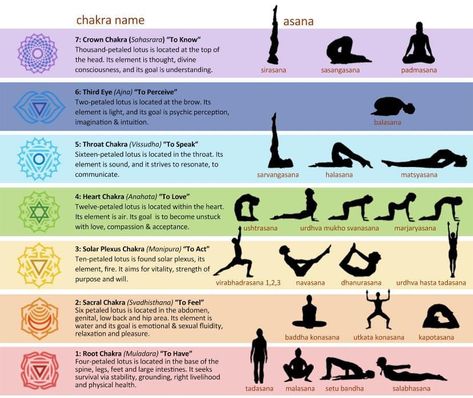 Spiritual Chakras, Chakra Healing Meditation, Chakra Health, Yoga Facts, Root Chakra Healing, Yoga Kundalini, Latihan Yoga, Chakra Affirmations, Energy Healing Spirituality