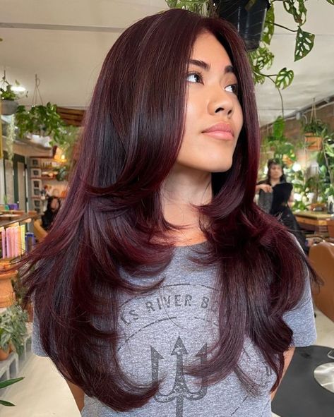 Long Dark Burgundy Butterfly Cut Deep Cherry Red Hair Ombre, Dark Maroon Hair, Burgundy Hair Colors, Burgundy Hair With Highlights, Wine Red Hair Color, Deep Burgundy Hair, Burgundy Butterfly, Red Burgundy Hair Color, Butterfly Layers