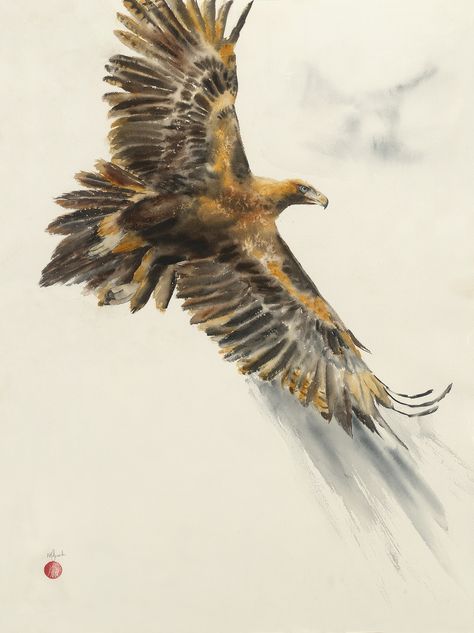 Wedge Tailed Eagle Ed. 3 of 50 by Katherine Smith Wedge Tailed Eagle, Watercolour Bird, Eagle Painting, Eagle Art, Contemporary Watercolor, Art Watercolor Painting, Realism Painting, Animal Painting, Realism Art