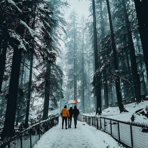 https://renghaholidays.com/packages/157/Manali-Honeymoon-Package Manali is a high-altitude Himalayan resort town in India’s northern Himachal Pradesh state. It has a reputation as a backpacking center and honeymoon destination. Set on the Beas River, it’s a gateway for skiing in the Solang Valley and trekking in Parvati Valley. It's also a jumping-off point for paragliding, rafting and mountaineering in the Pir Panjal mountains, home to 4,000m-high Rohtang Pass. Solang Valley Manali Photography, Kulu Manali Photography, Manali Trip, Parvati Valley, Honeymoon Tour Packages, Kullu Manali, Romantic Adventures, Honeymoon Tour, River Rafting