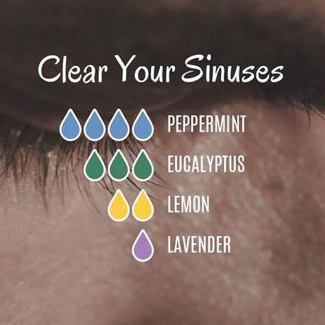 See more doTERRA diffuser blends on the GreenLeaf app! #GreenLeafDoterraBlends Essential Oils Sinus, Clear Your Sinuses, Doterra Diffuser, Doterra Diffuser Blends, Essential Oil Combinations, Doterra Essential Oils Recipes, Sinus Relief, Essential Oil Diffuser Blends Recipes, Young Living Essential Oils Recipes