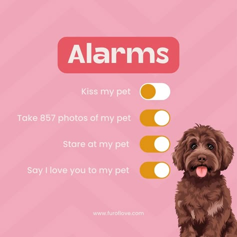 Every hour is a reminder to shower my fur baby with love ❤️🐾 . . . . #dogmom #dogmother #mydog #dogquote #dogsayings #PetLove #FurryFriend #AlarmReminders Dog Rescue Social Media, Hungry Dog, Social Awareness Campaign, Love Your Pet Day, Pet Branding, Cute Captions, Discount Design, Harry Potter Halloween, Pet Businesses