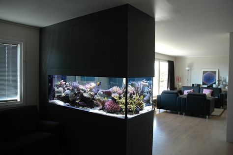 Unique Fish Tank Ideas | Archives: Modern Aquarium design for reef aquaria and freshwater Modern Fish Tank, Room Aquarium, Unique Fish Tanks, Fish Tank Wall, Small Aquarium, Big Aquarium, Wall Aquarium, Diy Fish Tank, Fish Tank Design