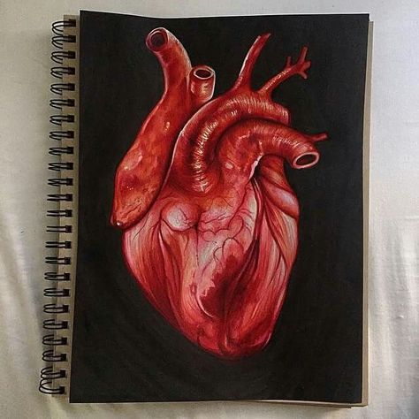 Color Pencil Sketch, Pencil Drawing Tutorials, Heart Sketch, Wallpaper Tumblr, Heart Drawing, Heart Painting, Human Heart, Arte Inspo, Color Pencil Art