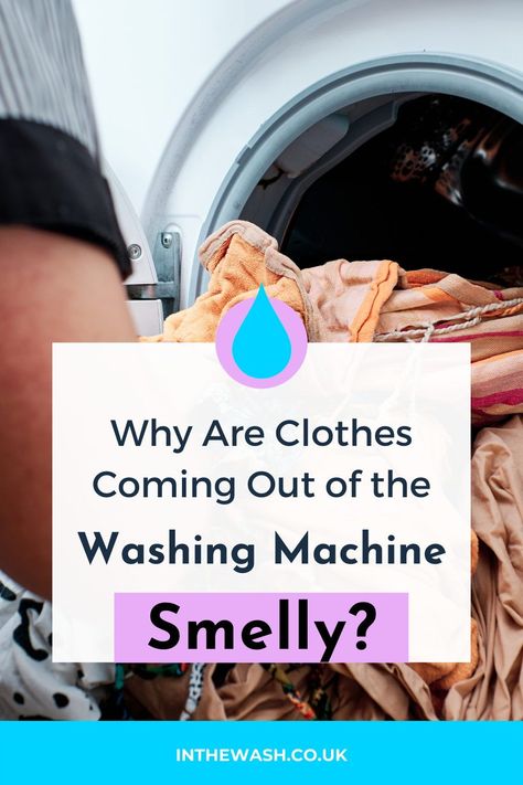 We all like our clothes to smell good, but what if our washing doesn’t smell as fresh as we’d like it to when we take it out of the machine? It can be very disappointing to go the trouble of washing your laundry only for it to come out smelling stale or damp. There are several factors that can lead to our clothes not smelling as pleasant as they should, but fortunately there are also lots of ways to get our washing smelling great again. Smelly Clothes After Washing, Smelly Clothes, To Smell Good, Fresh Clothes, Frigidaire Gallery, Laundry Tips, Clean Washing Machine, Wash Clothes, Washing Laundry