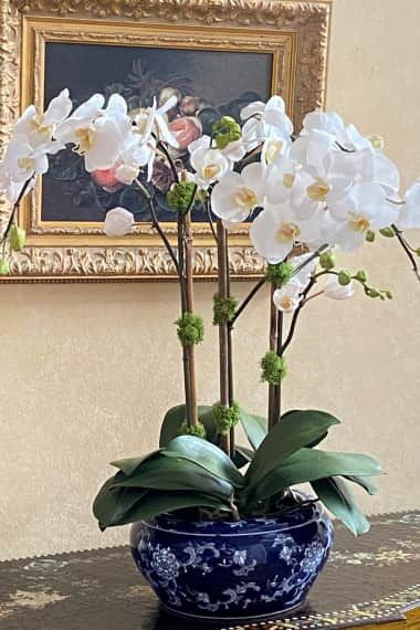 Orchid Arrangements Centerpieces, Flower Vase Ideas, Orchid Bowl, Orchid Centerpiece, White Floral Decor, Modern Flower Vase, Orchid Flower Arrangements, Vase Ideas, Orchid Centerpieces