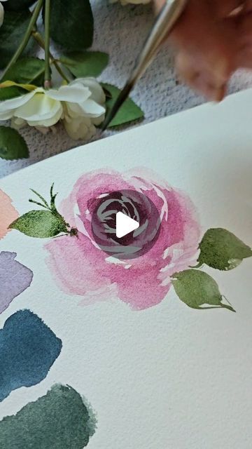 Joly Poa Watercolor, Rose Drawing Watercolor, August Watercolor, Sketchbook Exercises, Loose Watercolor Flowers, Painting 101, Spring Watercolor, Watercolor Video, Drawing Watercolor