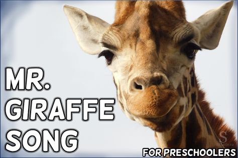 A few years back I was teaching my preschool children about different animals. One of the days my focus was on giraffes. For a craft, we ripped brown paper and glued it onto a giraffe colouring sheet. Our story was “Abigail” by Catherine Rayner. The only thing missing was a song. I did some […] Giraffes Cant Dance Activities, Song For Preschoolers, Catherine Rayner, Giraffe Room, Giraffes Cant Dance, Giraffe Crafts, Circle Time Songs, Preschool Class, Preschool Songs